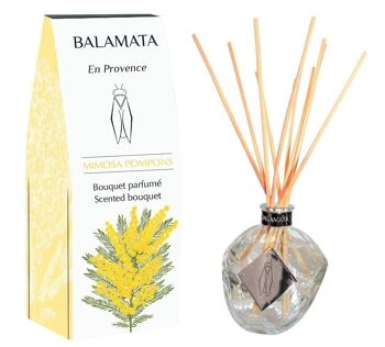 Mimosa Pompons - Bouquet Parfumé - 100ml - En Provence 3