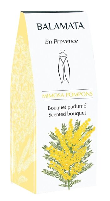 Mimosa Pompons - Bouquet Parfumé - 100ml 5
