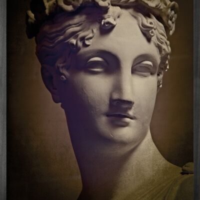 Statuesque 1 Framed Printed canvas -Small
