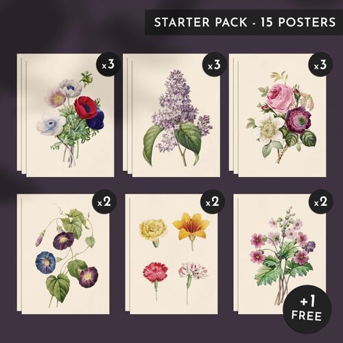 Pack découverte - Les Fleurs - 15 affiches 30x40cm