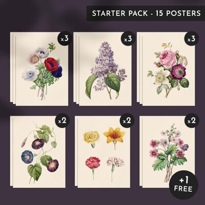 Pack découverte - Les Fleurs - 15 affiches 30x40cm