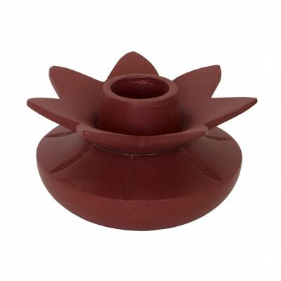Candlestick Flower red