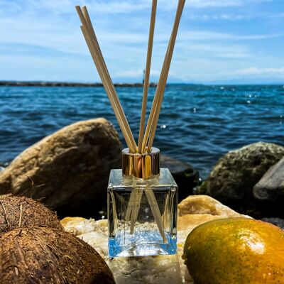 MANGO & COCONUT DIFFUSER