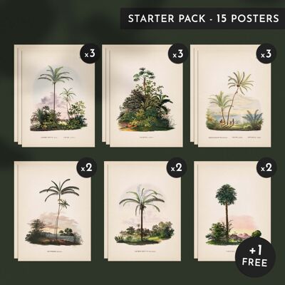 Discovery pack - Palm trees - 15 posters 30x40cm
