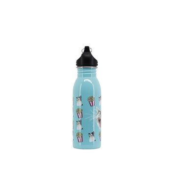 Oh Mon Pop! Angry Cat-Bouteille d'Eau 500 ml, Turquoise 2