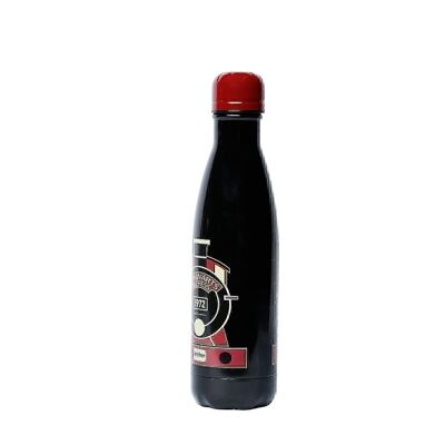 Harry Potter Express-Thermo Bouteille 500 ml, Multicolore