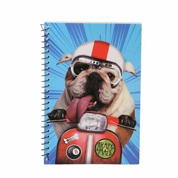 Krazymals Bulldog-Notepad, Bleu 4