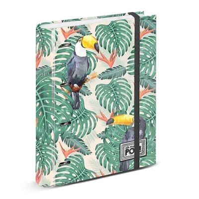 Oh My Pop! Toucan-Carpesano 4 Ring Graph Paper, Green