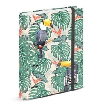 Oh Mon Pop ! Toucan-Carpesano 4 Anneaux Papier Ligné, Vert