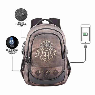 Harry Potter Gold-Running Backpack HS 1.3, Brown