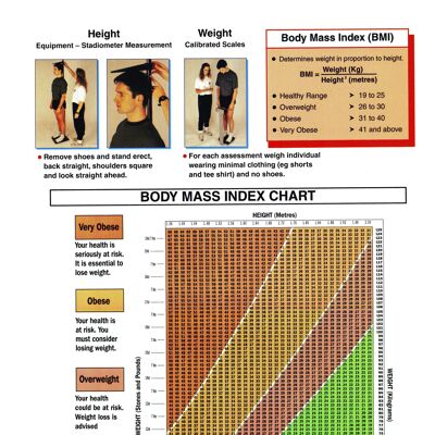 Height And Weight Measurement Poster