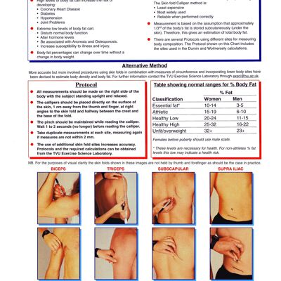 Composición de grasa corporal Póster