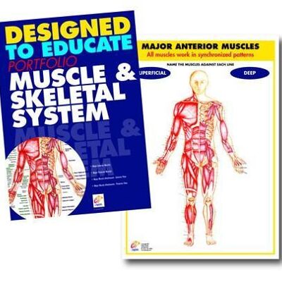 Manuale didattico di anatomia muscolare e scheletrica
