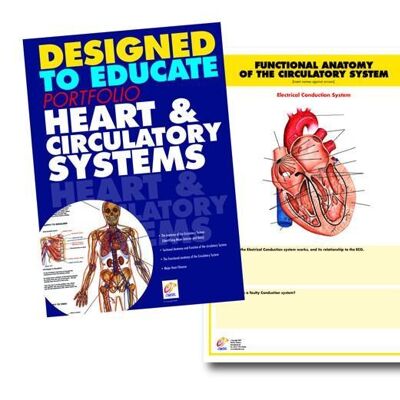 Manuale didattico del cuore e del sistema circolatorio
