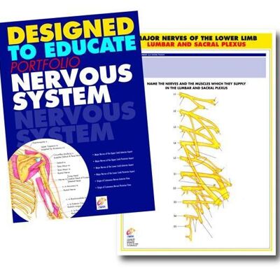 manual de educación del sistema nervioso
