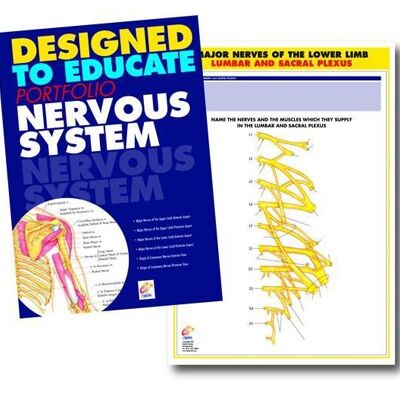 Handbuch zur Ausbildung des Nervensystems