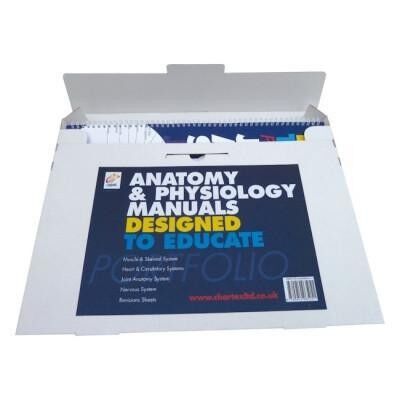 Lehrbücher für Anatomie und Physiologie – 4er-Set