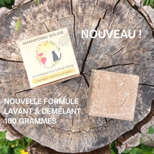 Shampoing solide Cheveux normaux à sec 100G