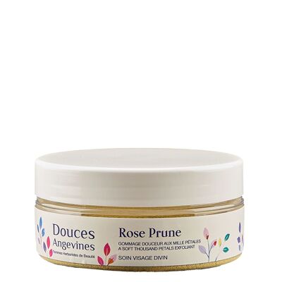 ROSE PLUM scrub