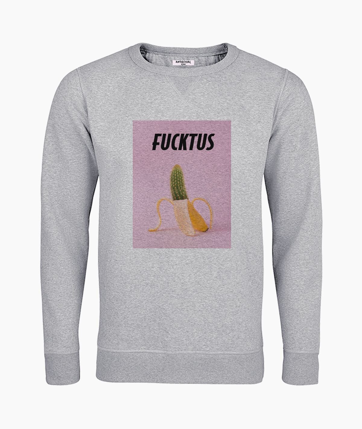 Fucktus gray unisex sweatshirt