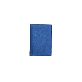 Porte cartes bleu 1