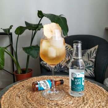 Kit cocktail avec alcool, Spritz de Normandie 2