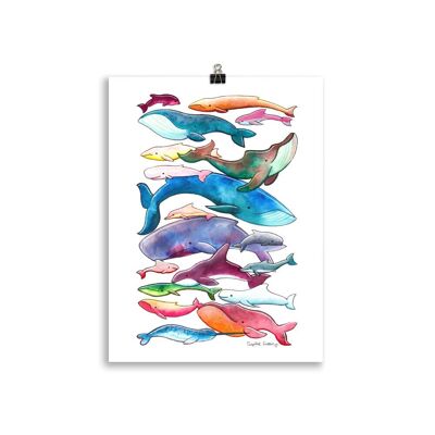 Stampa artistica di balene e delfini