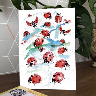 Ladybird Greetings Card