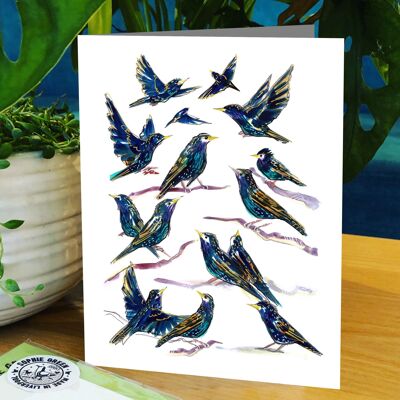 Starlings Greetings Card