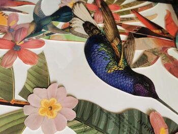 ADM - Photo collage 3D 'Colibrì' - Couleur multicolore - 100 x 50 x 3 cm 9