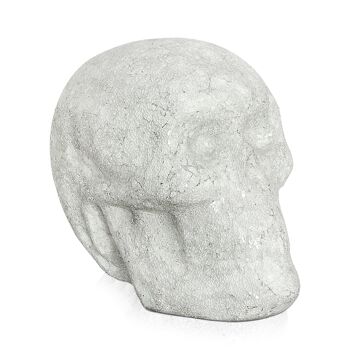 ADM - Sculpture en verre décorée 'Crâne' - Couleur blanche - 46 x 54 x 41 cm 1