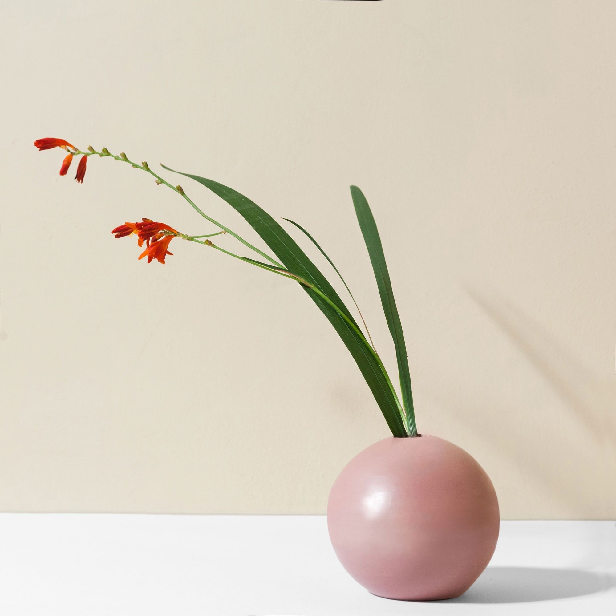 Rose ROMA Vaso in ceramica e portacandele