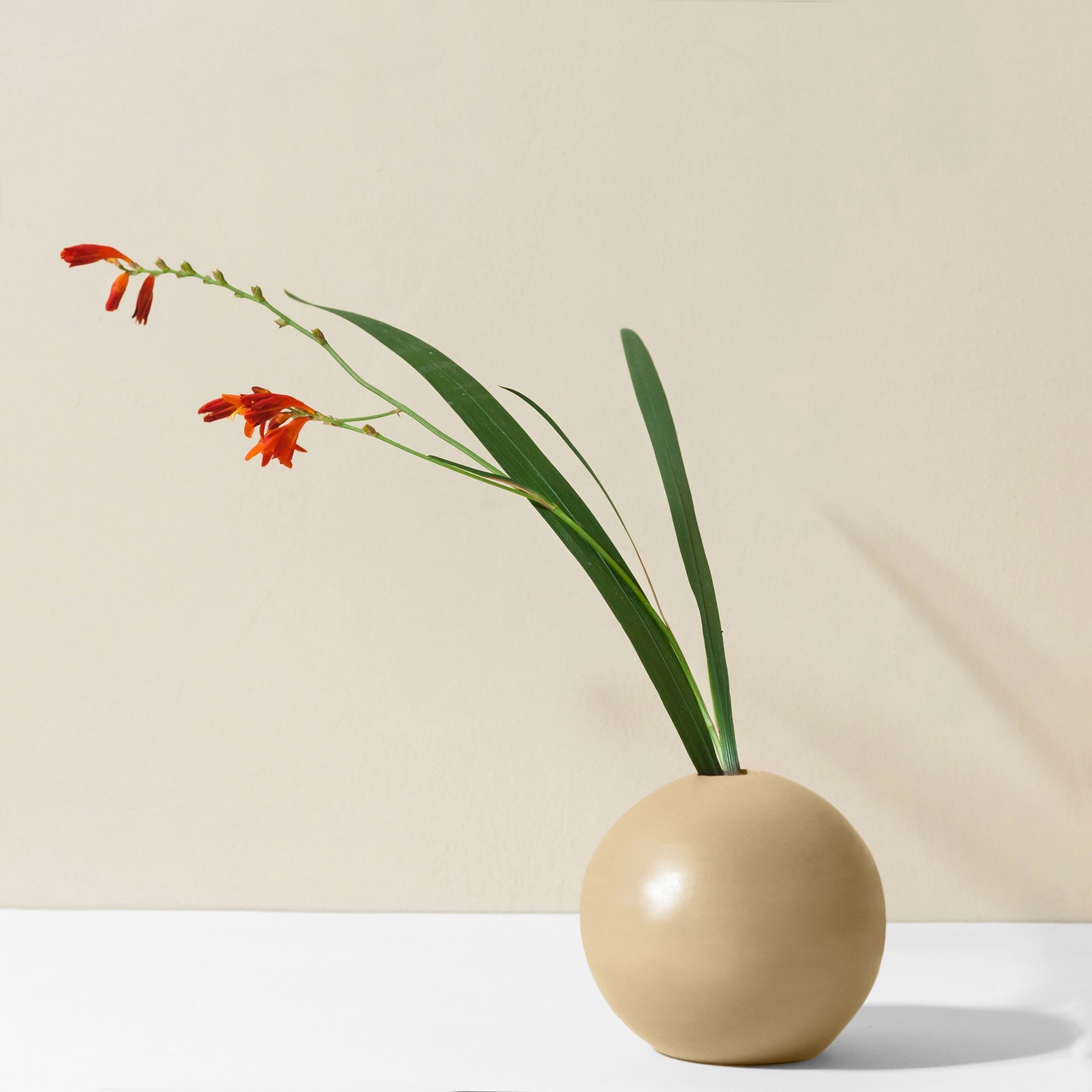 Vaso in ceramica giallo ROMA e portacandela