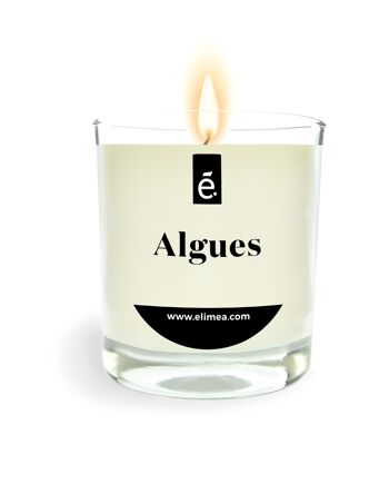 Bougie Parfumée Algues