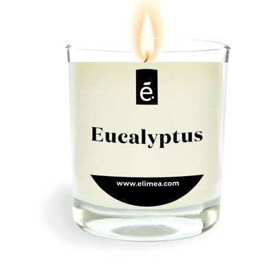 Bougie Parfumée Eucalyptus