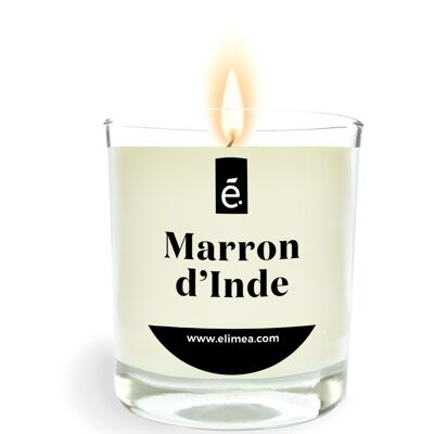 Horse Chestnut Scented Candle