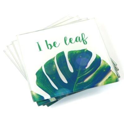 Set of 4 Coasters - I Be Leaf