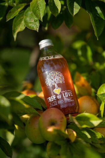 Jus de Pomme Bio Tree of Love - 330ml 3