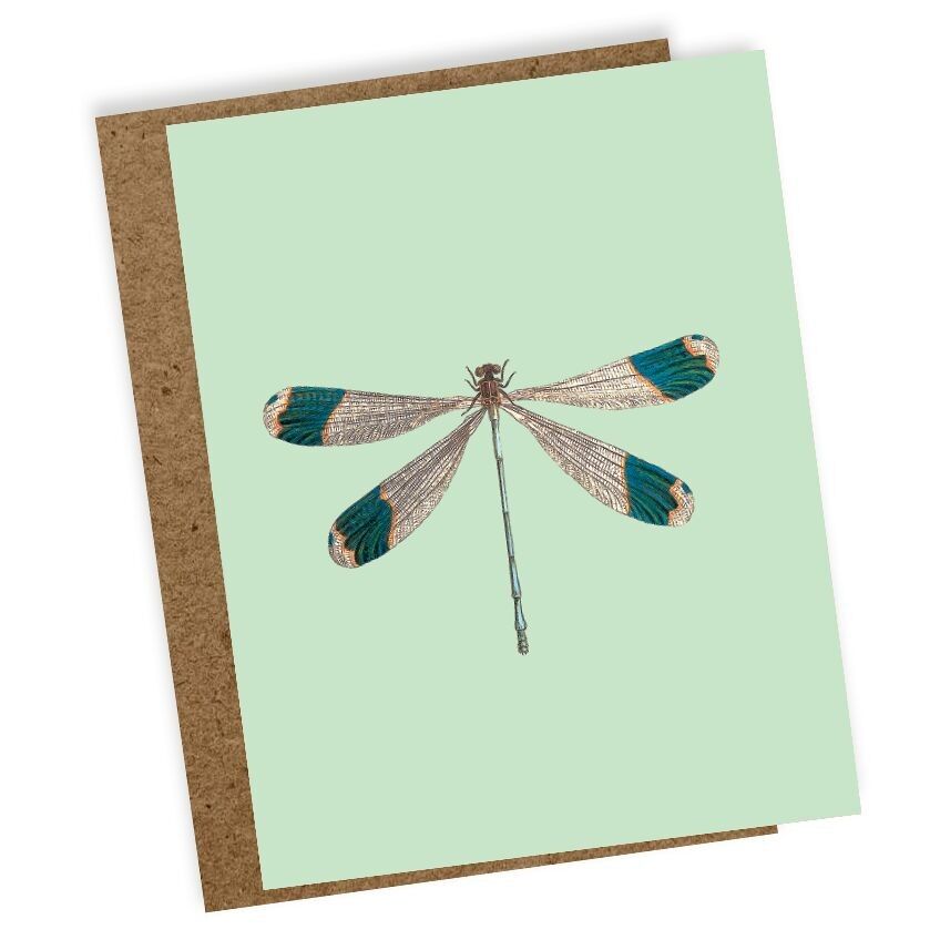 Mini biglietto di auguri Afterlife