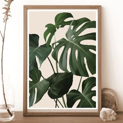 A3 / A4 Monstera Deliciosa Plant Art Print C