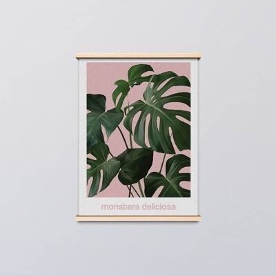 A3 Monstera Deliciosa Plant with Pink Font