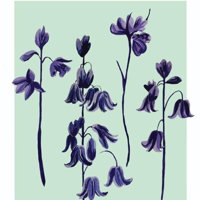 Bluebell Bloom Print A5