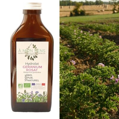 Hydrolat Géranium rosat Bio origine Bourgogne