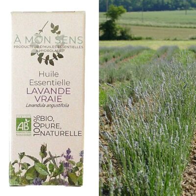 Vero olio essenziale di lavanda biologico della Borgogna