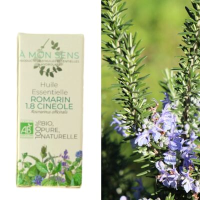 Huile essentielle Romarin 1.8 cinéole Bio origine Bourgogne