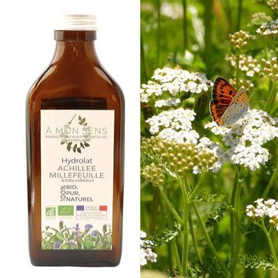 Organic Achillea millefolium hydrosol from Burgundy