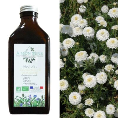 Organic Roman Chamomile Hydrosol from Burgundy