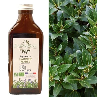 Hidrosol orgánico de laurel noble de Borgoña