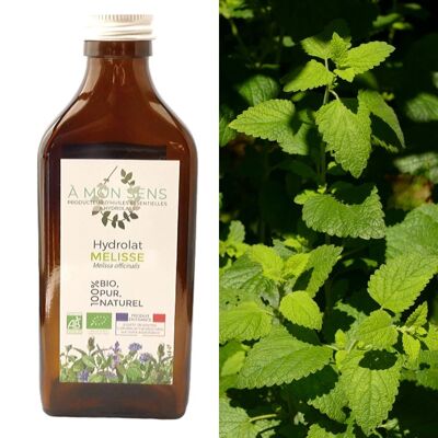 Hidrosol de bálsamo de limón orgánico de Borgoña