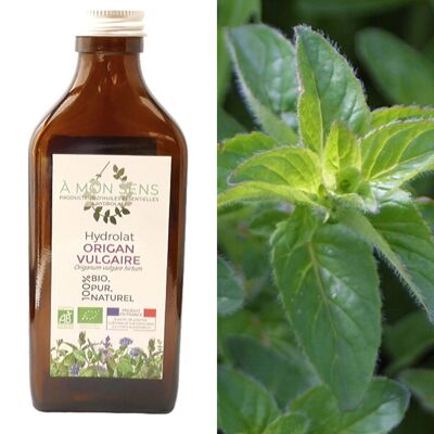 Organic Oregano Hydrosol from Burgundy